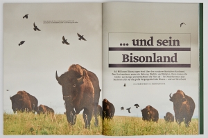 Beef! Magazin