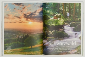 Brigitte Wir - Schwarzwald