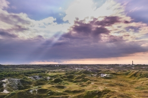 Blick in Norderneys Dünenlandschaft